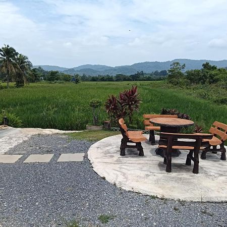 Damai D Homestay Kangar Eksteriør bilde